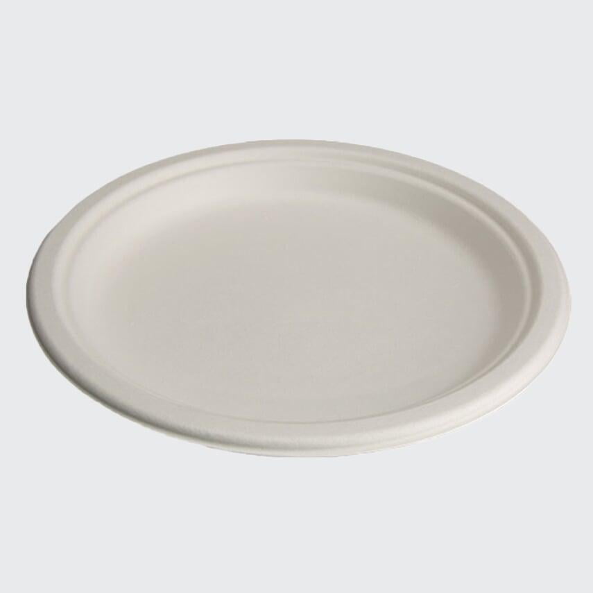 bagasse compostable food container