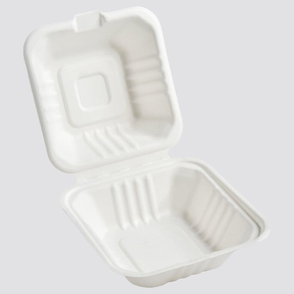 bagasse trays
