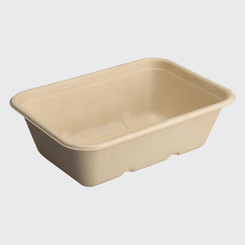 bagasse box