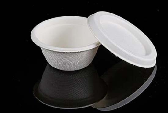 eco friendly food containers