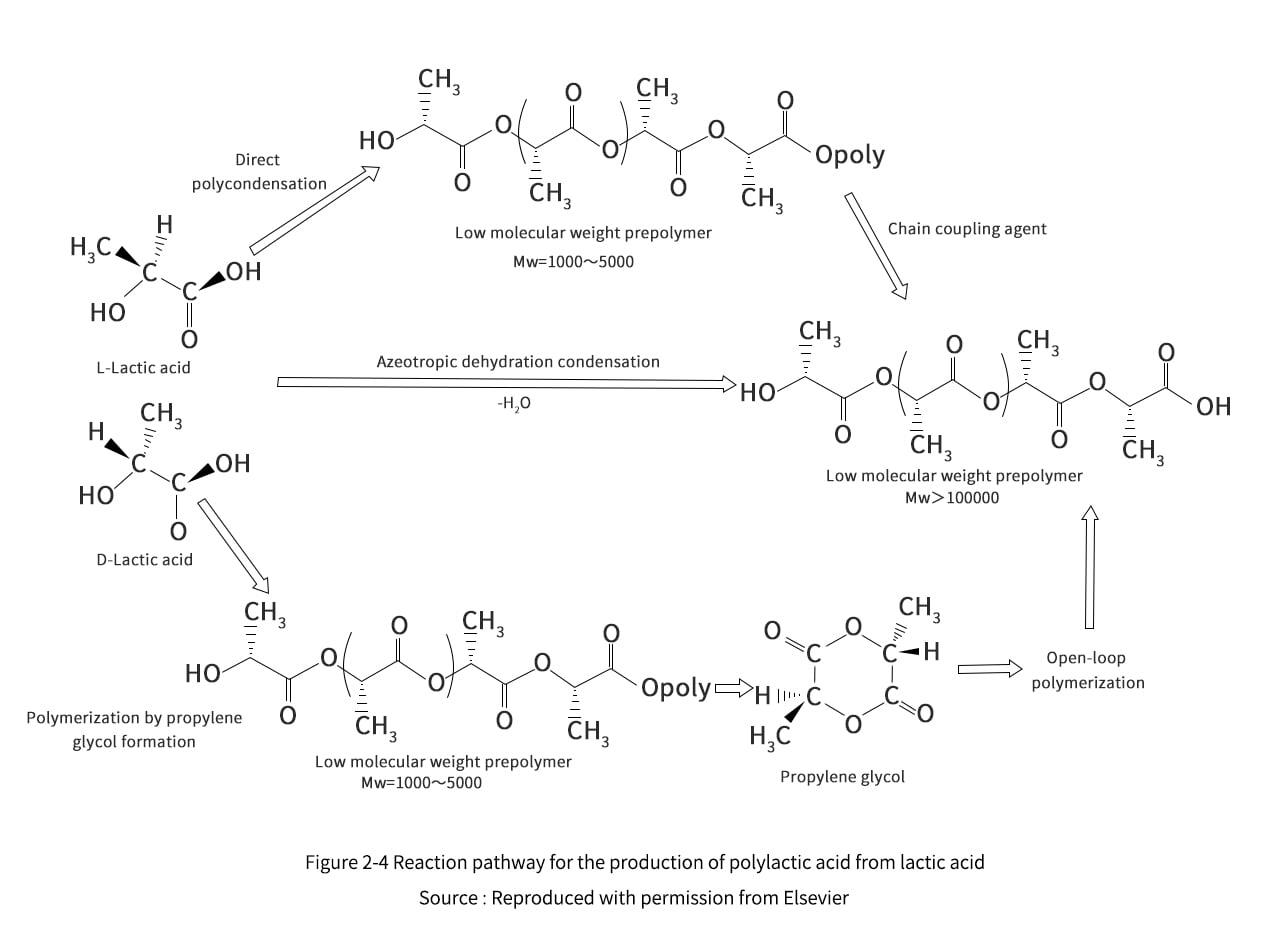Lactic acid production polylactic acid