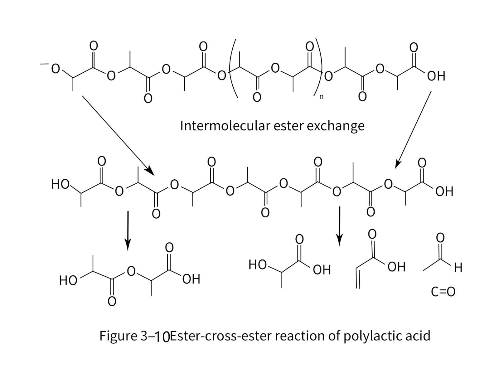 Polylactic acid ester exchange
