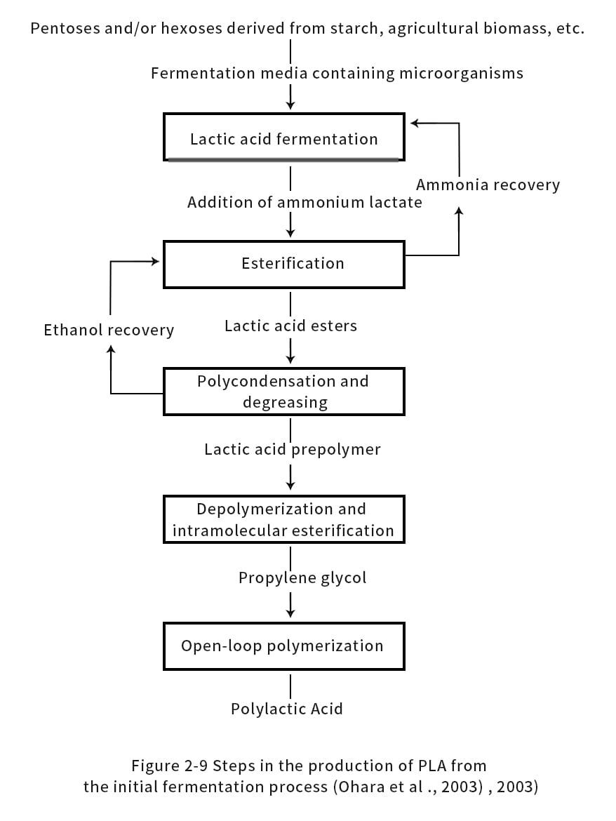 Steps in the production of polylactic acid