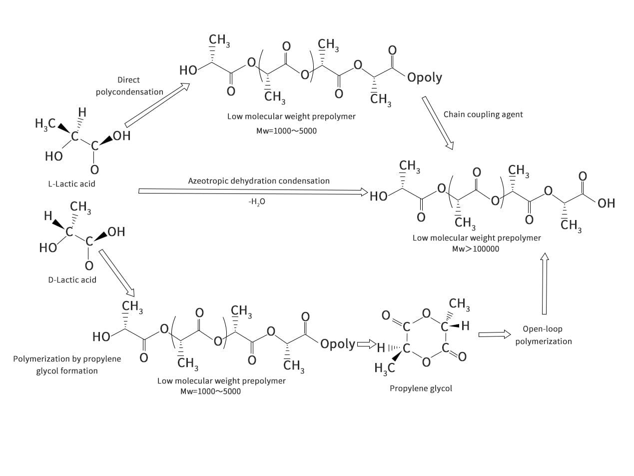 Synthetic polylactic acid pathway