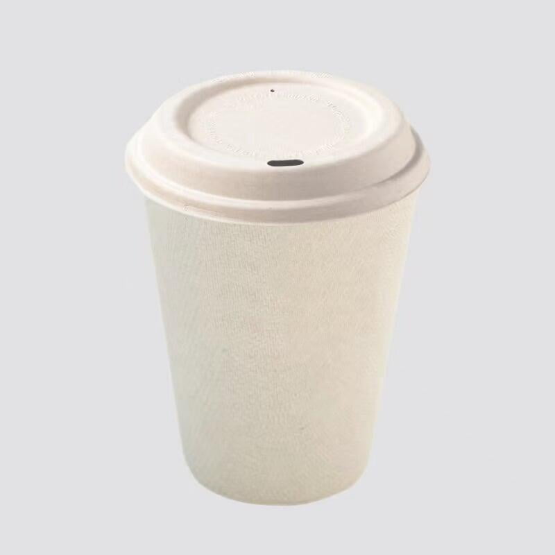 bagasse trays