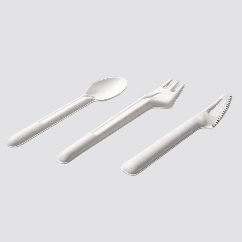 bagasse trays
