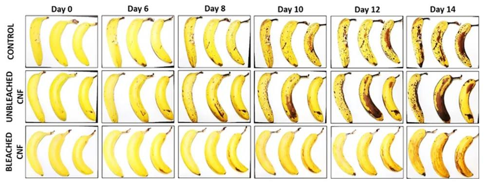 Banana test of EMPA coating