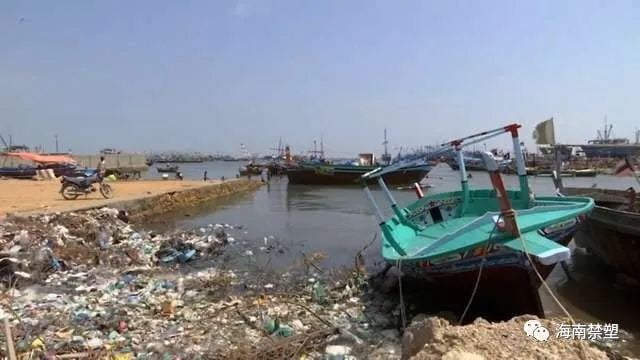 Plastic pollution
