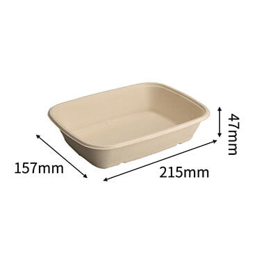 bagasse box