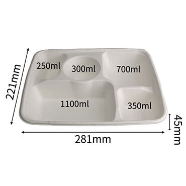sugarcane bagasse box