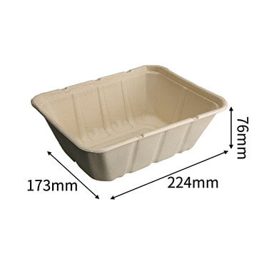 bagasse food box