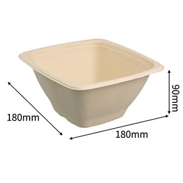 bagasse square box