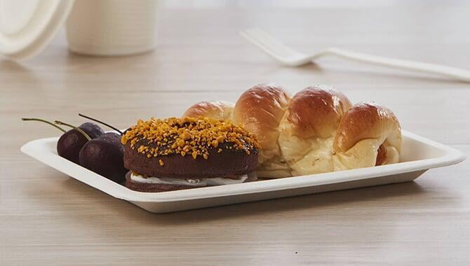 bagasse vegetable tray