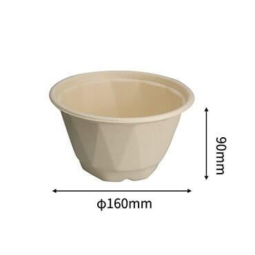 sugarcane bagasse salad bowl