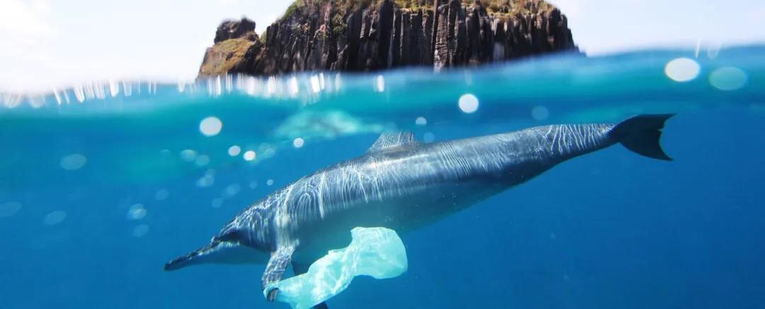 Biological Marine Environment