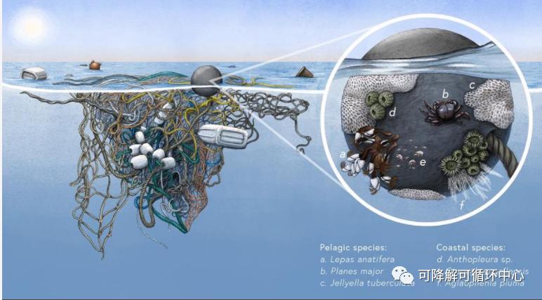 Marine Biological Environment