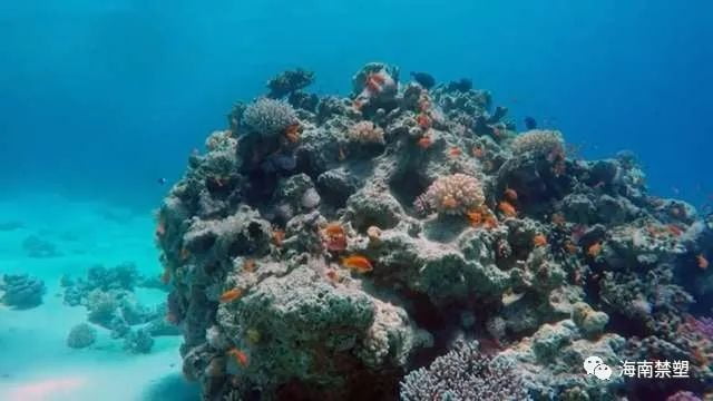 Protect the marine environment