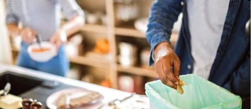 compostable disposable bag