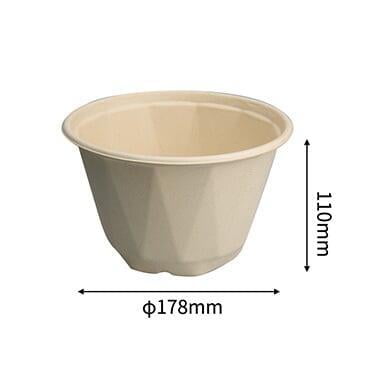 pulp bagasse salad bowl