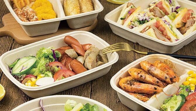 disposable bagasse boxes