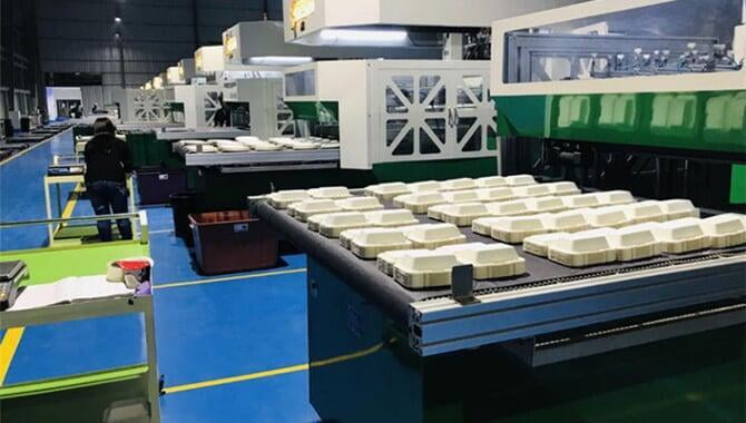 box packaging bagasse