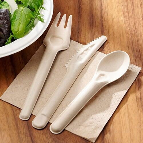 bagasse hamburger clamshell
