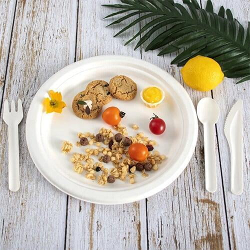 sugarcane bagasse clamshell
