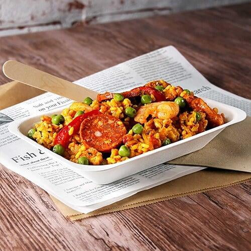 bagasse food tray
