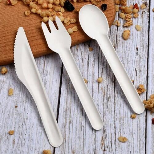 sugarcane bagasse clamshell box