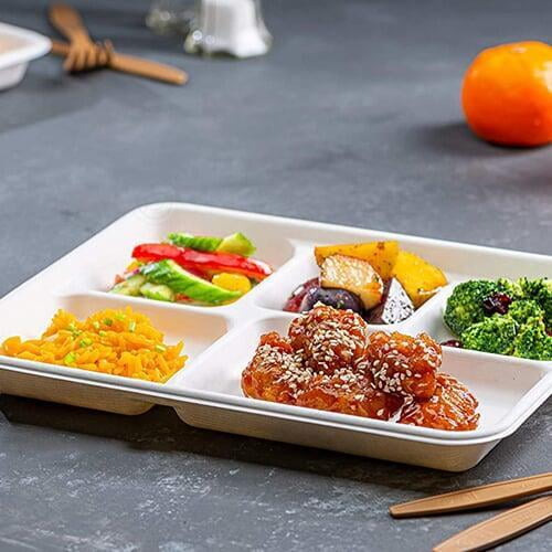 modern bagasse bowl