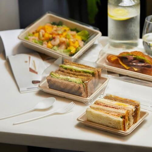 bagasse sandwish tray