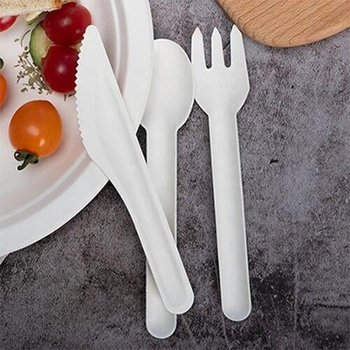 clamshell box food bagasse container