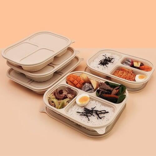 sugarcane bagasse clamshell