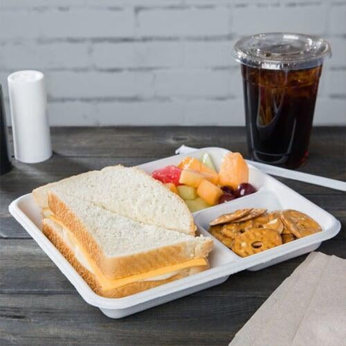 sugarcane bagasse tray