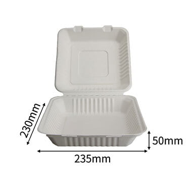 sugarcane lunch box