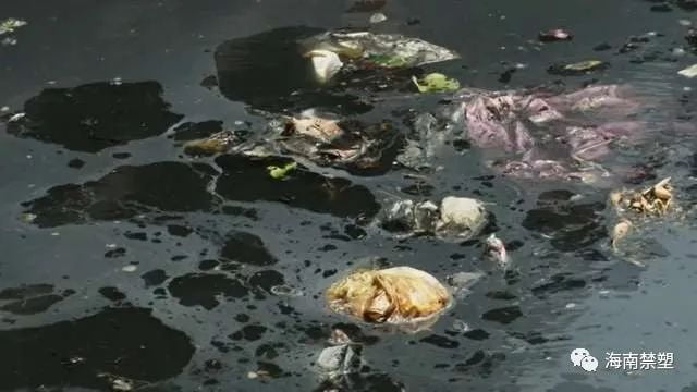 Marine plastic pollution