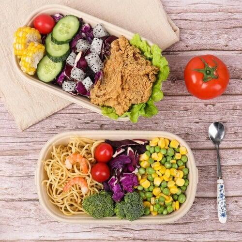 bagasse pulp lunch box