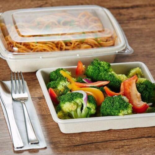 bagasse bento lunch box