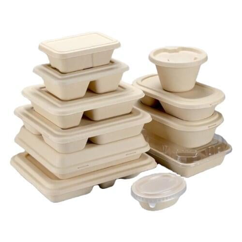 bagasse meal box