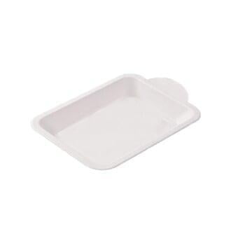 sugarcane square plate
