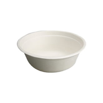 bagasse bowl