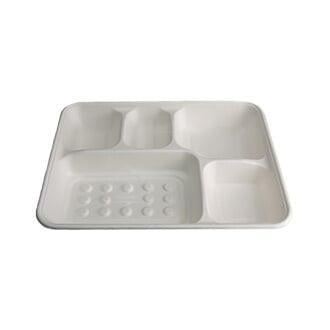 bagasse Compartment tray