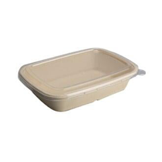 Sugarcane bagasse square box