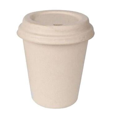 white bagasse clamshell