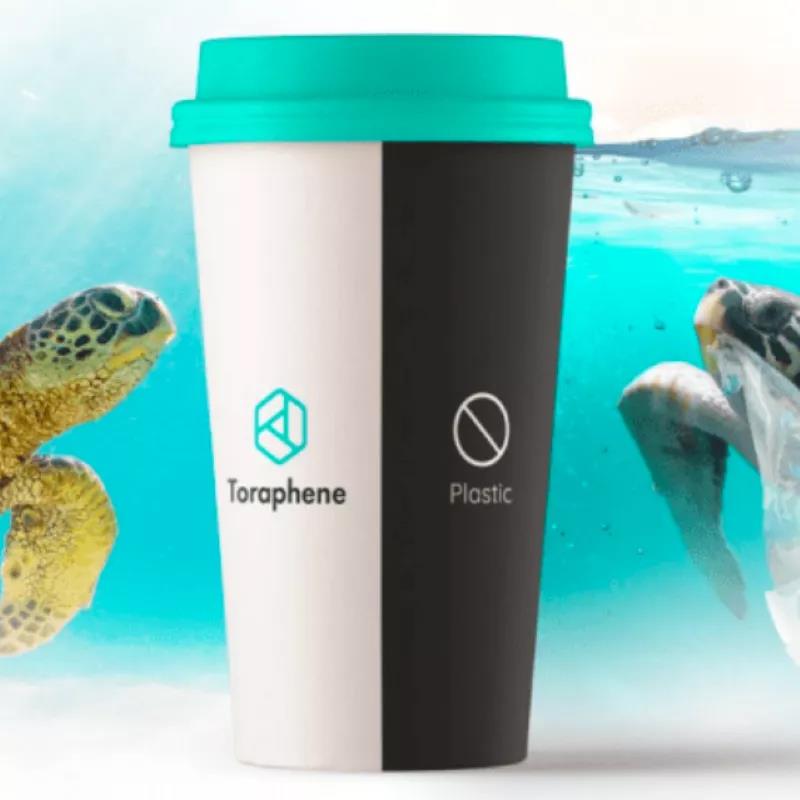 Biodegradable cup