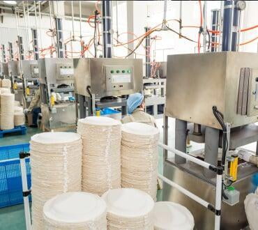 Sugarcane bagasse plate supplier