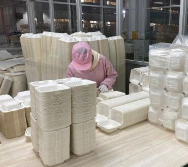 Bagasse plates for sellers