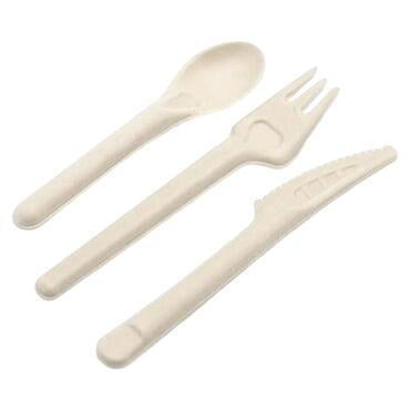 white bagasse clamshell