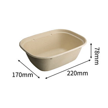 sugarcane bagasse food box