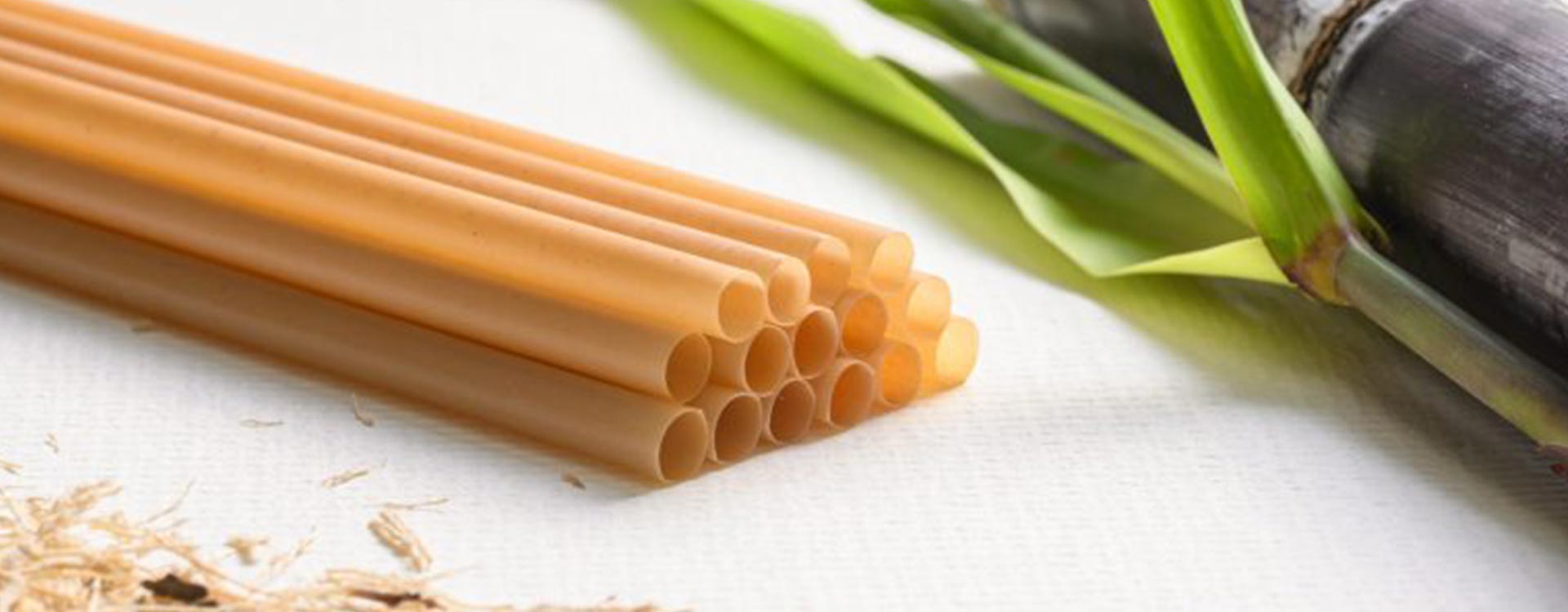 compostable plastic straws